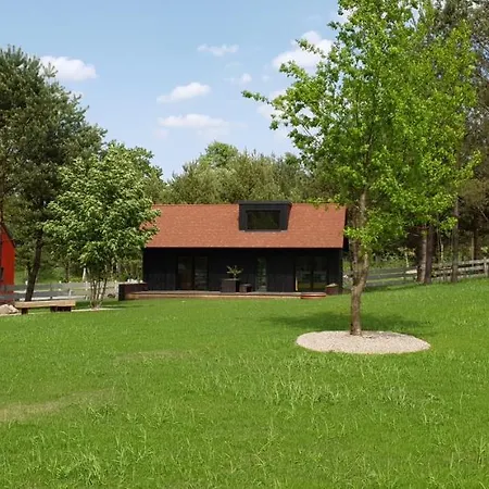 Prázdninový dům Wioska Radoska - Czarna Stodola Na Mazurach Przez Caly Rok *